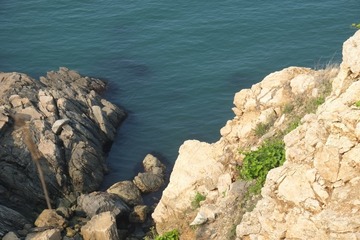 DSCF0845