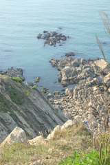 DSCF0836