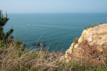DSCF0843