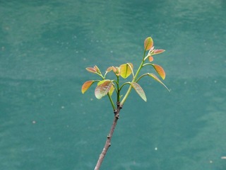 DSC02062.JPG