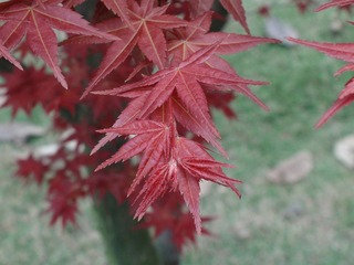 DSC01820.JPG