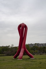 15556