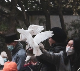 FC54D2EA-5A3B-41F8-A740-778C05C0C0C0/L0/001