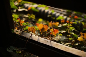 2552684