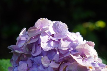 70B09F4C-07FC-41AB-AFB0-8DFC6AE8409E/L0/001