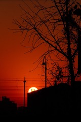 D9D54F36-D715-4806-9241-FB8565F868BA/L0/001