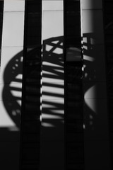 493AA45E-345E-4213-95F4-007288377DC5/L0/001