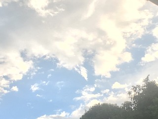 5CBFEF2C-B188-4AEC-9E73-96BE51DF51AE/L0/001