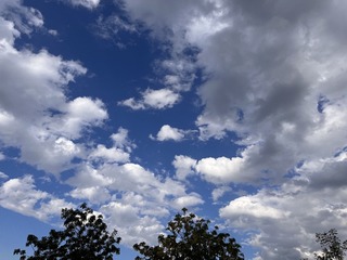F94DF03C-D746-47E8-BB0A-8FFDFD3C6C6C/L0/001