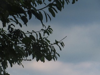 2145907