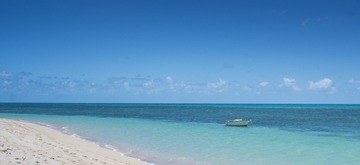 DSCF2391-1