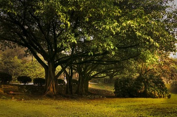 DSC_10814-1