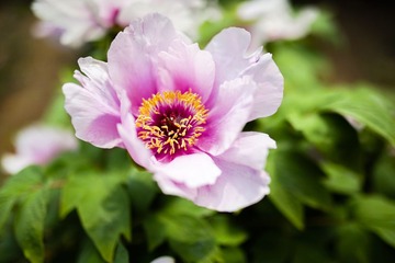 _DSC0385-2