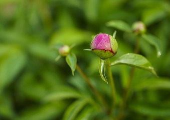 _DSC0471-2