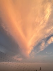 06B48FFF-E874-4B4F-B0E3-B4C2CA1D621B/L0/001
