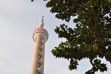 DSC_0176.jpg