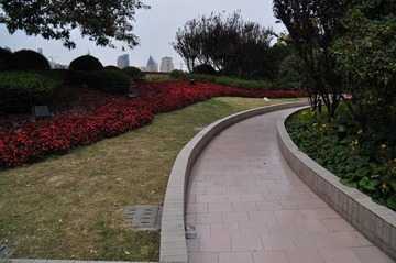 DSC_0087.jpg
