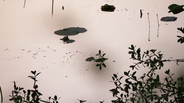 1000045871