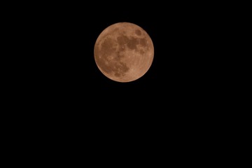 21B32678-1475-4CC0-AA18-661EB8736FC0/L0/001