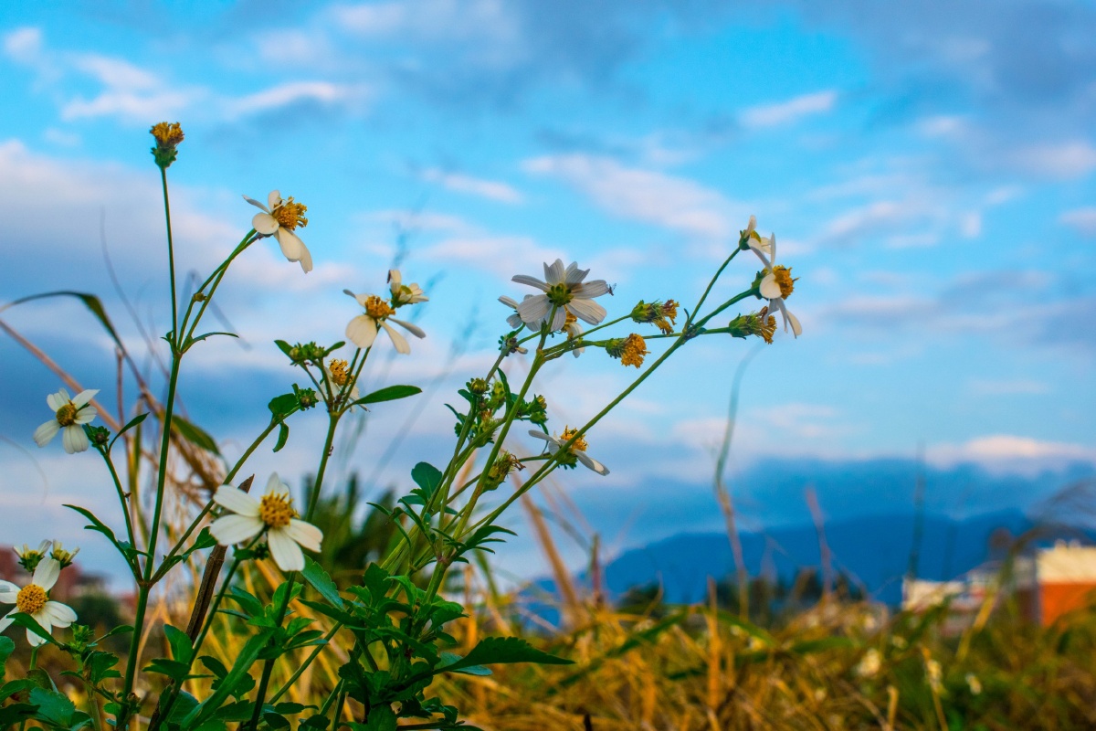 d5300 - 木鱼水心410 - 图虫网 - 最好的摄影师都