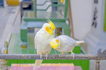 76250