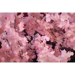 0AA5FF82-EB9F-4600-BAD5-4C744AEF7893/L0/001