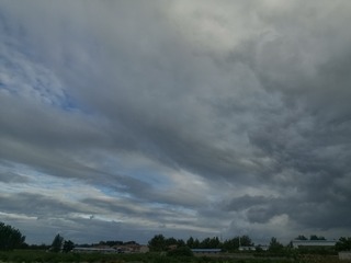 1293028