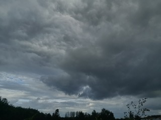 1293022