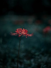 48161F41-5926-451B-8F38-377C65F37285/L0/001