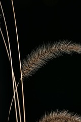 182152