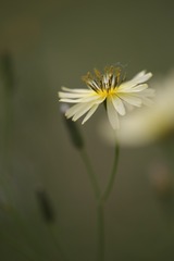 177812