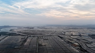1000034430