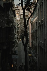 F7DCBC37-FEF0-41DF-A801-5C4FC0444FBD/L0/001