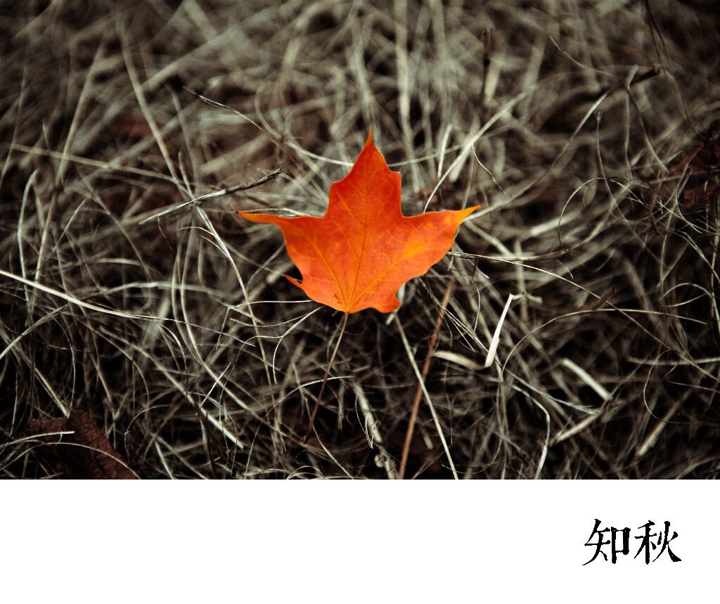 无题