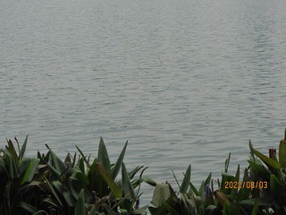 F0C8AC3F-99F2-42B9-A0DF-E09BD777CEA0/L0/001