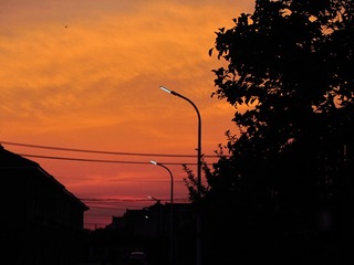 6167F39C-6135-4D32-A6DF-BA460D560E35/L0/001