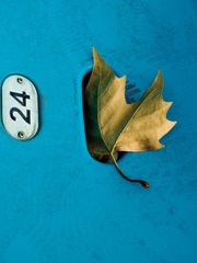13FAF5E0-2396-41D5-A298-203BEFFCA046/L0/001