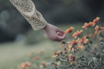 7DD8F138-554F-4199-AB28-C08476D0DB54/L0/001