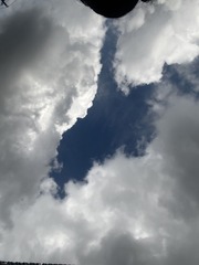 BF2F7B35-E224-41F4-B249-7CB3A3219227/L0/001
