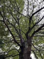 13F2EB13-69A7-43CF-93E8-C1BAF9B9F092/L0/001