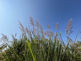 4995D095-50D8-4520-BC41-7BFE713CFE97/L0/001