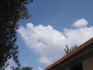 B084344D-8271-41DA-8542-602C26B395D5/L0/001