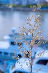 9A7638EB-79BB-4224-847B-E9C4074EB561/L0/001