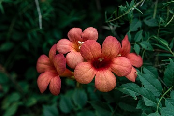 F0375C53-D612-4ED7-8958-20C33D1BB55E/L0/001