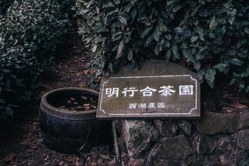 C387A0A2-9AAA-4000-8227-CE4EE42474FB/L0/001
