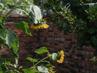 1673354