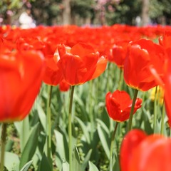 8D612B57-331C-496A-AA8E-CD887158D204/L0/001