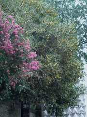 47EB0280-4BF6-4011-AB0D-D5AF288CA18D/L0/001