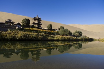 _IGP8780