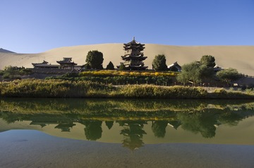 _IGP8786_1